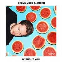 Steve Void, AUSTN – Without You