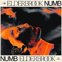 Elderbrook – Numb