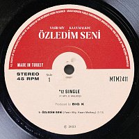 Yasir Miy, Kaan Malkoc – Ozledim Seni