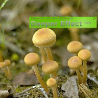 Různí interpreti – Peppermint Jam Records Pres. Deeper Effect, Vol. 3