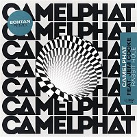 CamelPhat & Jem Cooke – Rabbit Hole (Bontan Remix)