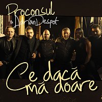 Proconsul, Adrian Despot – Ce dacă mă doare