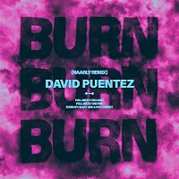 David Puentez – Burn [Naarly Remix]