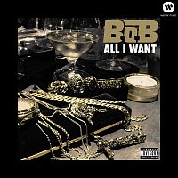 B.o.B – All I Want