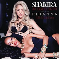 Shakira, Rihanna – Can't Remember to Forget You