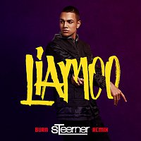 LIAMOO – Burn [Steerner Remix]