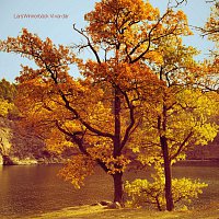 Lars Winnerback – Vi var dar [Live]