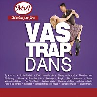 Various  Artists – Vastrap Dans