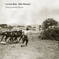 Lucian Ban, Mat Maneri – Transylvanian Dance [Live]