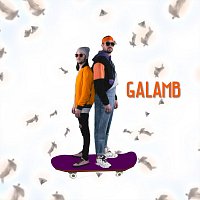 Přední strana obalu CD Galamb