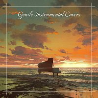 Gentle Instrumental Covers