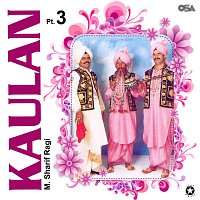 Přední strana obalu CD Kaulan, Pt. 3