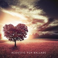 Přední strana obalu CD Acoustic Pop Ballads