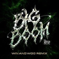 Big Boom [Win and Woo Remix]