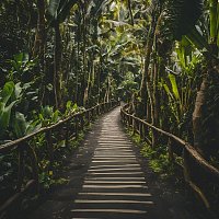 Přední strana obalu CD My Way