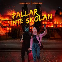 Rasmus Gozzi, FROKEN SNUSK – PALLAR INTE SKOLAN