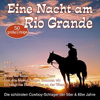 Různí interpreti – Eine Nacht am Rio Grande - Die schönsten Cowboy-Schlager der 50er & 60er Jahre
