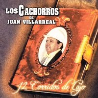 Los Cachorros De Juan Villarreal – 12 Corridos De Lujo