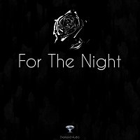 Diamond Audio – For The Night