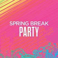 Různí interpreti – Spring Break Party