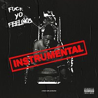 Přední strana obalu CD Fuck Yo Feelings [Instrumentals]