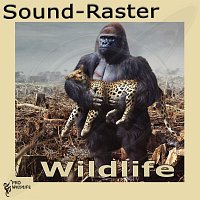 Sound-Raster – Wildlife