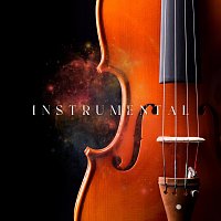 Různí interpreti – Instrumental