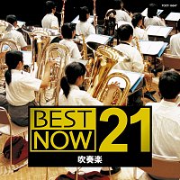 Různí interpreti – Best Now 21 Brass Band