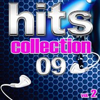 Různí interpreti – Hits Collection 09, Vol. 2