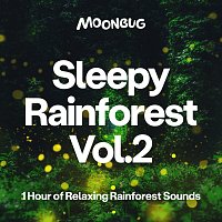 Sleepy Baby Sounds – Sleepy Rainforest, Vol. 2 (1 Hour of Relaxing Rainforest Sounds)