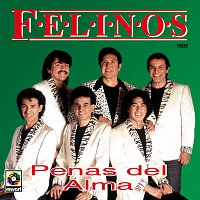 Los Felinos – Penas del Alma