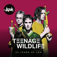 Ash – Teenage Wildlife: 25 Years of Ash