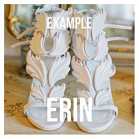 Example – Erin