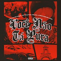 Wizzze, MC Magal, MC Braz, Mineirin, VITAUFUG3LDS, 2050 – Voce Nao Tá Pura