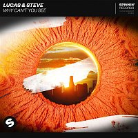 Lucas & Steve – Why Can't You See