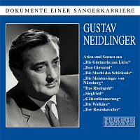 Dokumente einer Sangerkarriere - Gustav Neidlinger