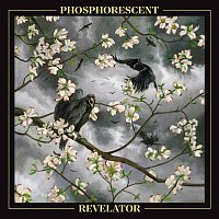 Phosphorescent – Impossible House