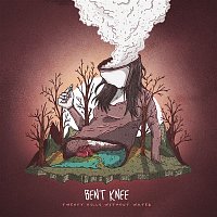 Přední strana obalu CD Never Coming Home