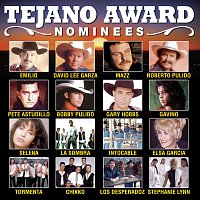 Přední strana obalu CD Tejano Award Nominees