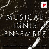 Ignis Ensemble – Musicae