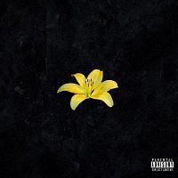 Metox – Жёлтые лилии
