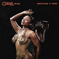 Megan Thee Stallion – Cobra (Rock Remix) [feat. Spiritbox]