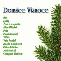 Various  Artists – Domáce Vianoce