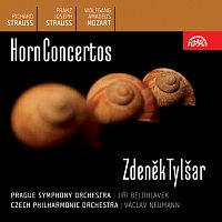 Přední strana obalu CD R. Strauss, F. J. Strauss & Mozart: Koncerty pro lesní roh a orchestr