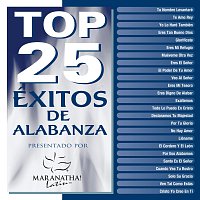 Top 25 Exitos De Alabanza