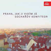 Jan Slavíček, Karel Lidický – Praha, jak ji vidím já / Sochařův konfiteor MP3