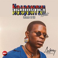 Aubrey Qwana, DJ Tira – Ngaqonywa (Remix)
