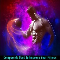 Michele Giussani – Compounds Used to Improve Your Fitness