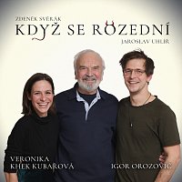 Přední strana obalu CD Když se rozední (feat. Veronika Khek Kubařová)