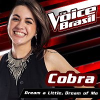 Cobra – Dream A Little Dream Of Me [The Voice Brasil 2016]